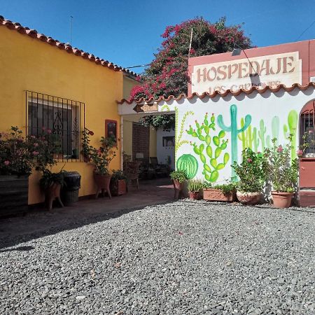 Hospedaje Los Cardones Cafayate Extérieur photo